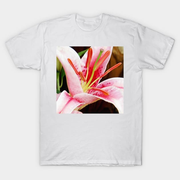 Macro Pink and White Lilly Flower in the Garden T-Shirt by Scubagirlamy
